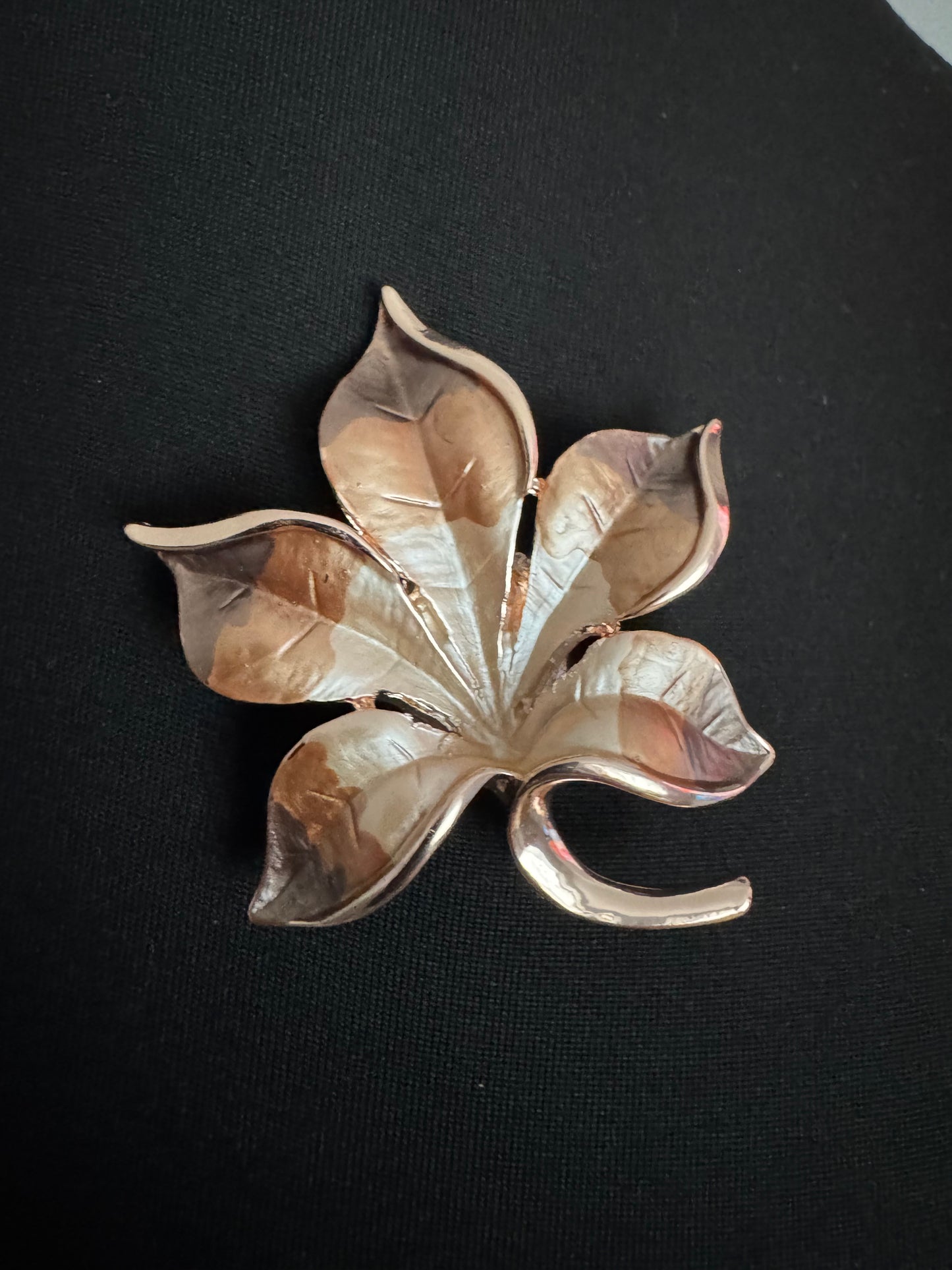 Magnetic Brooches
