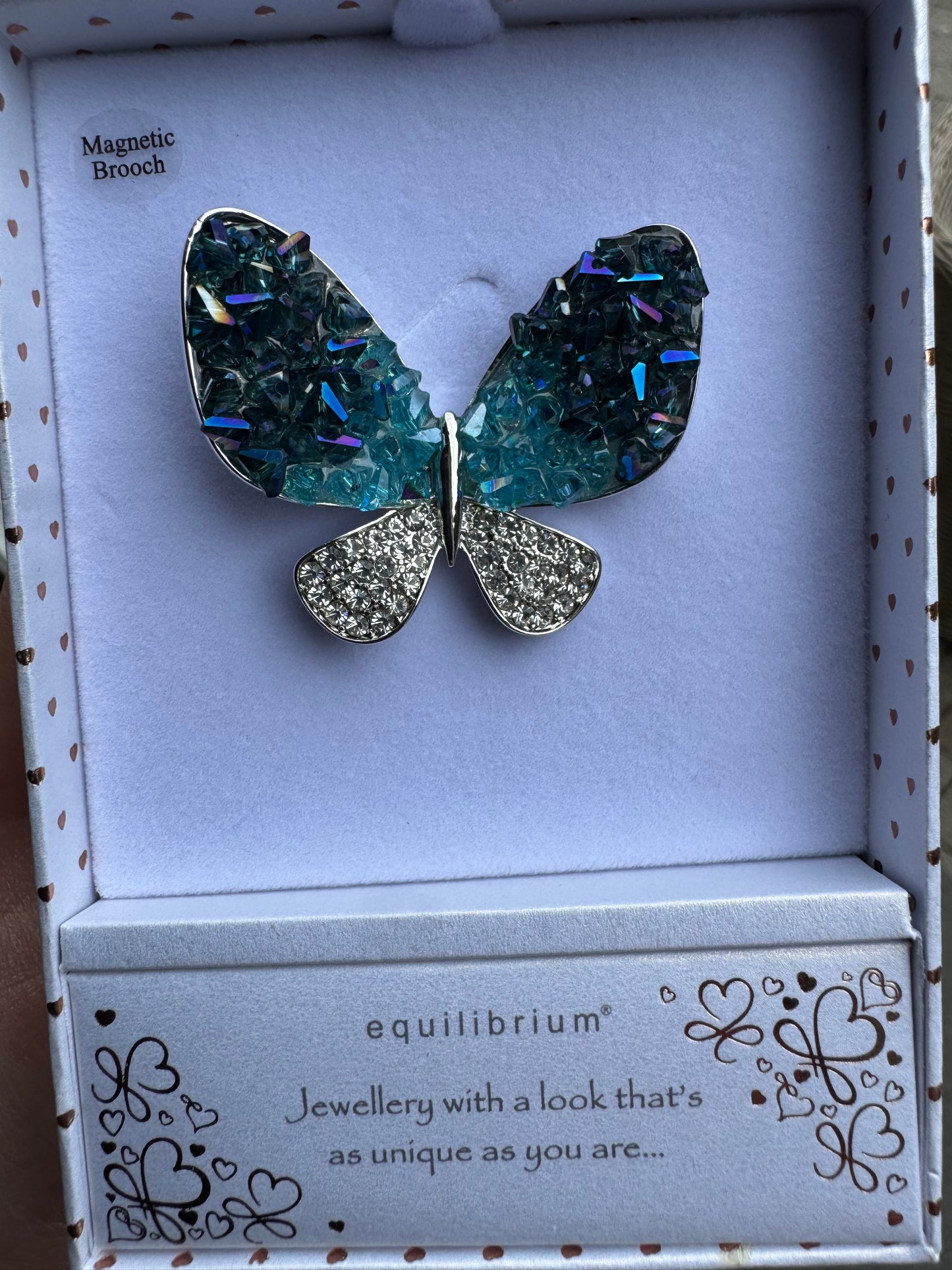 Magnetic Brooch Equilibrium
