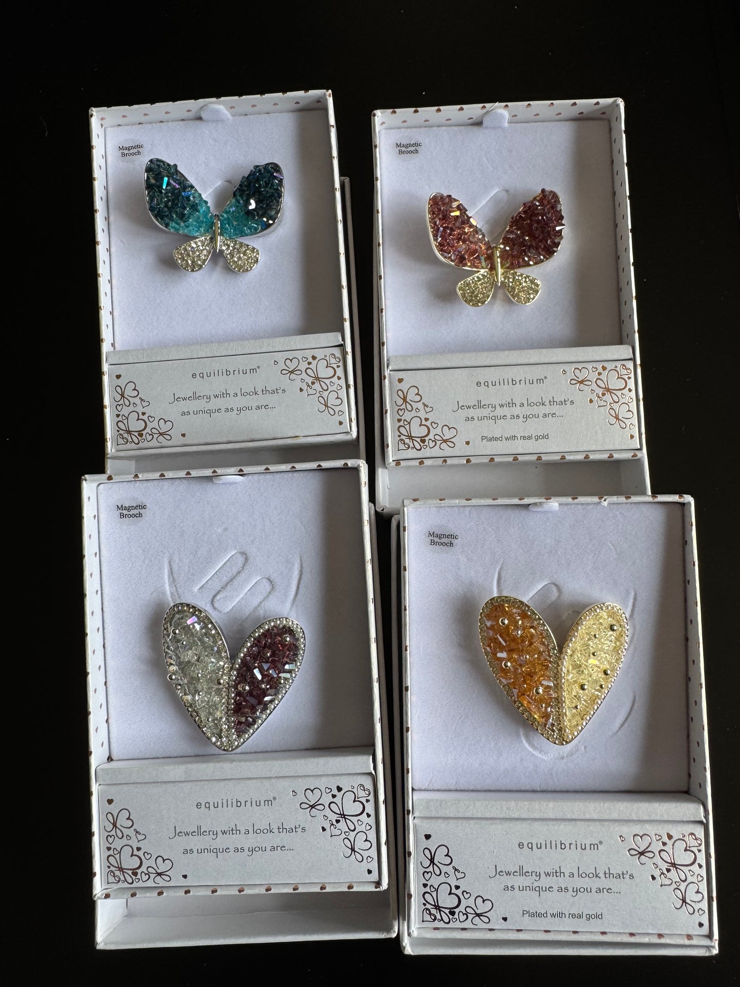Magnetic Brooch Equilibrium