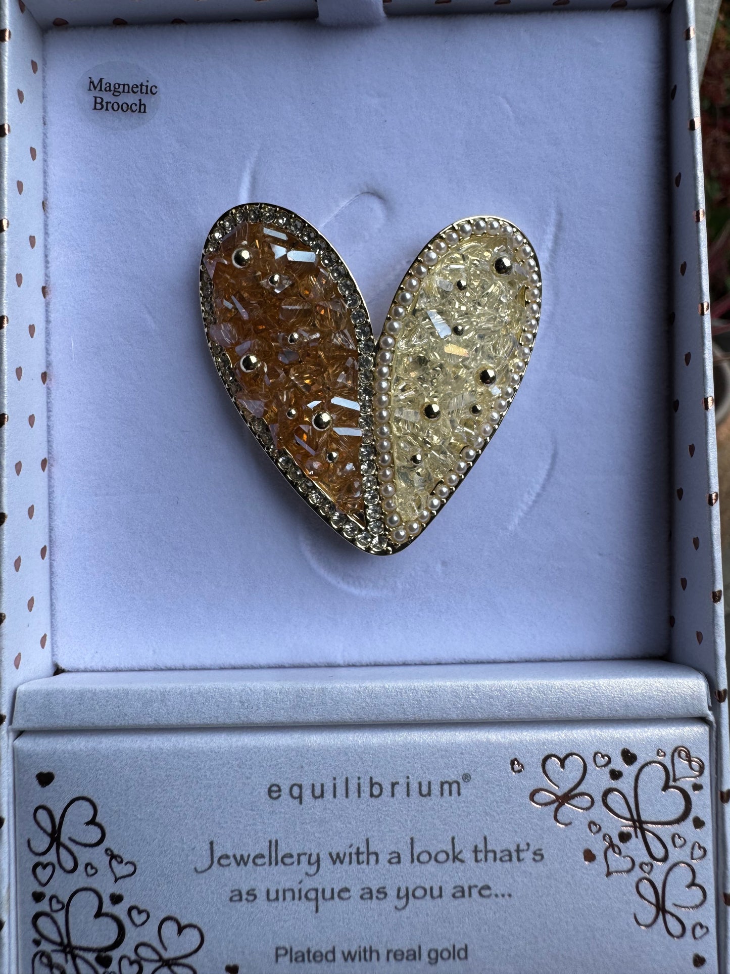 Magnetic Brooch Equilibrium