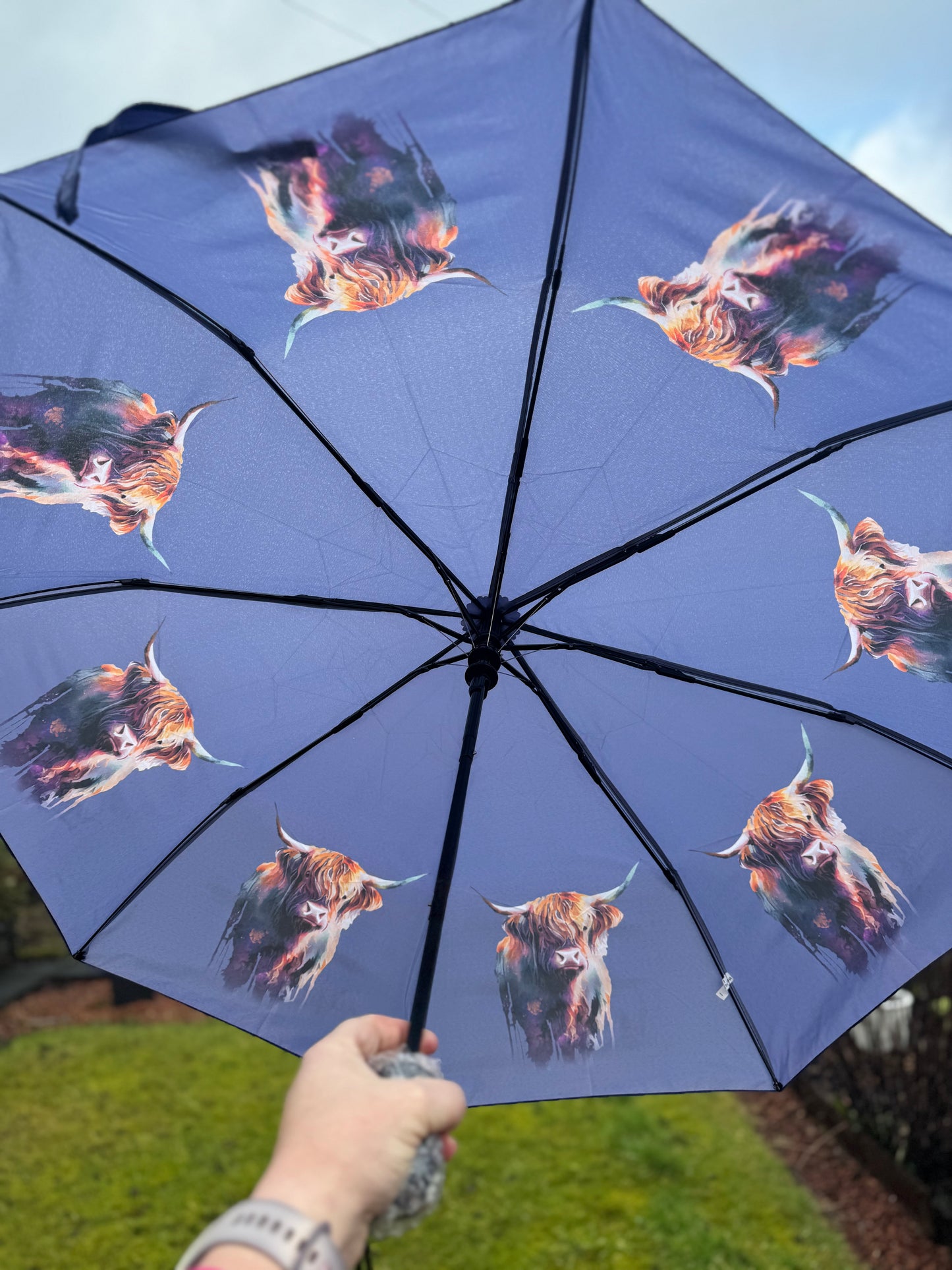 Automatic open Highland Cow Umbrella - Short