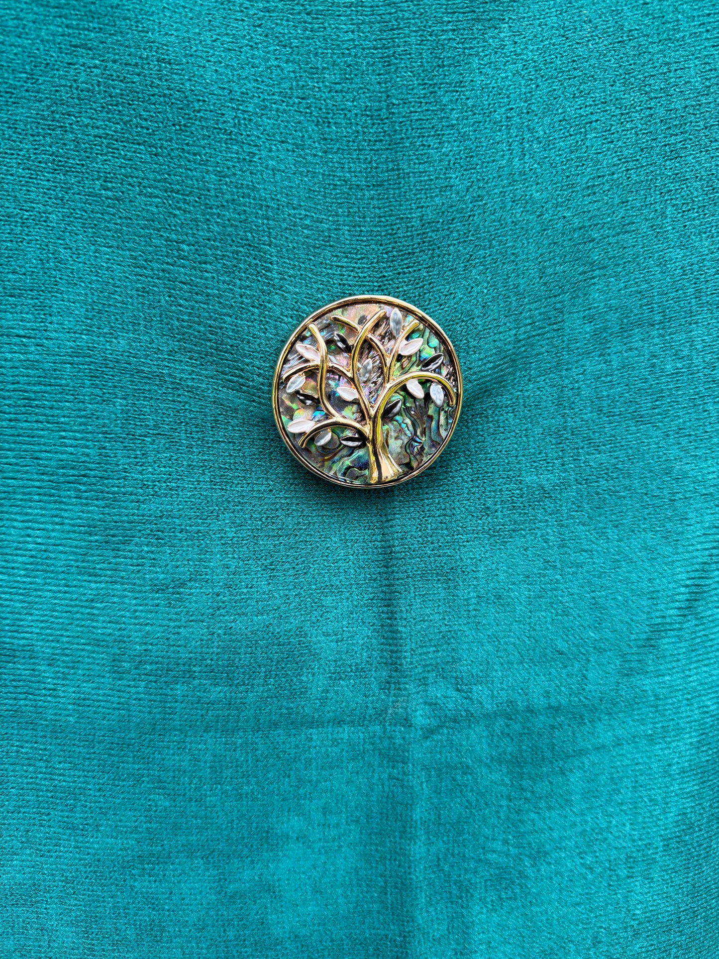 Magnetic Brooches