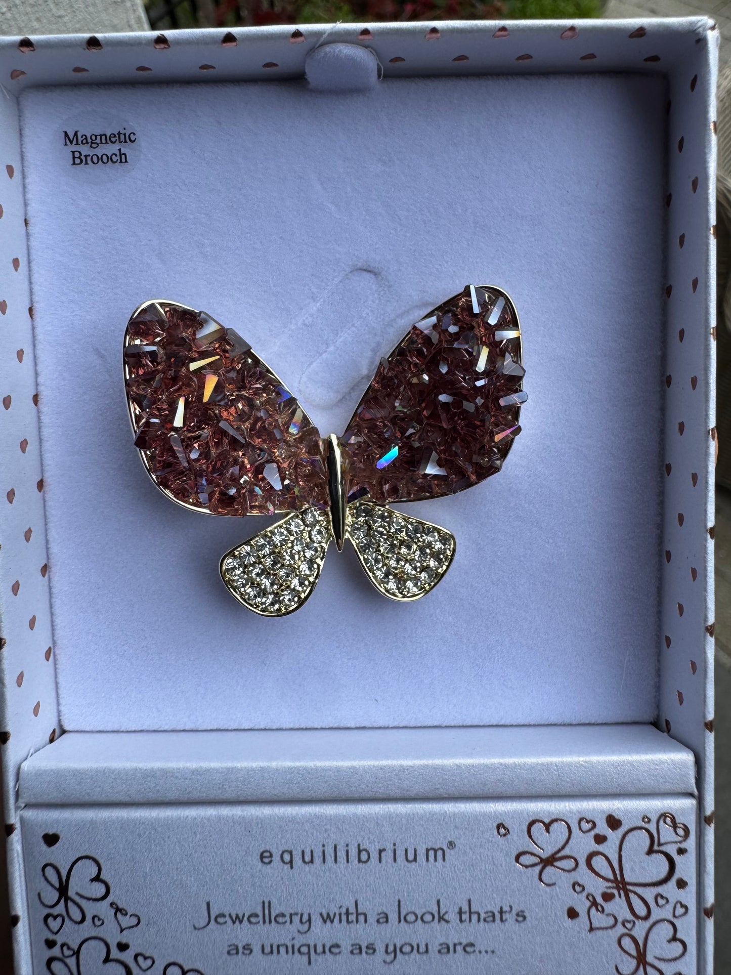 Magnetic Brooch Equilibrium