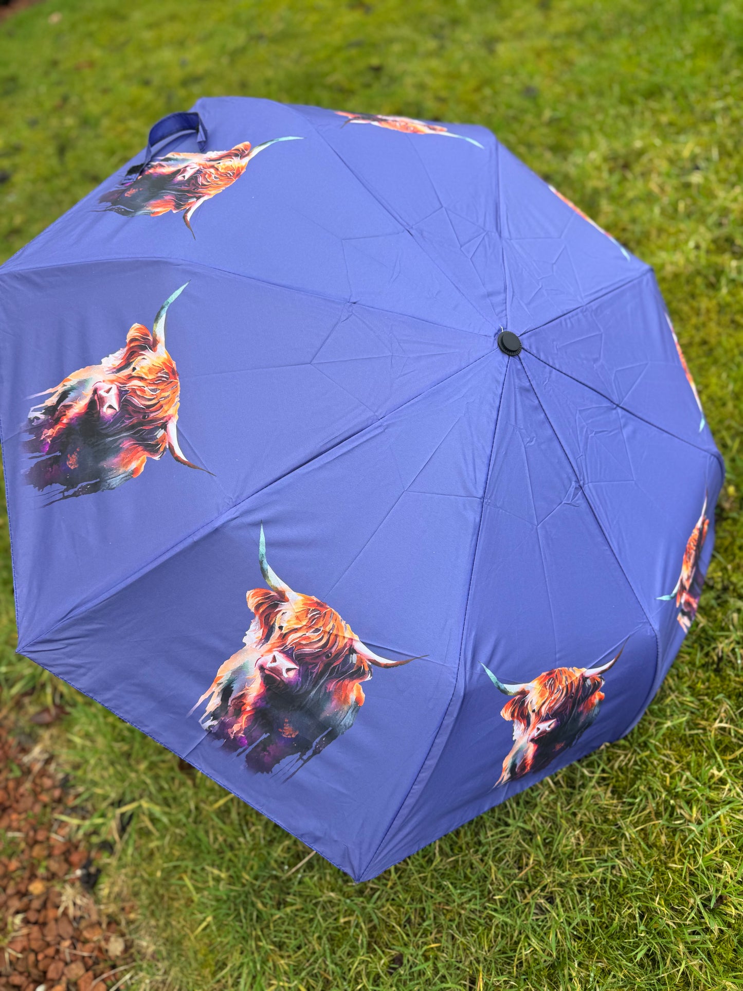 Automatic open Highland Cow Umbrella - Short