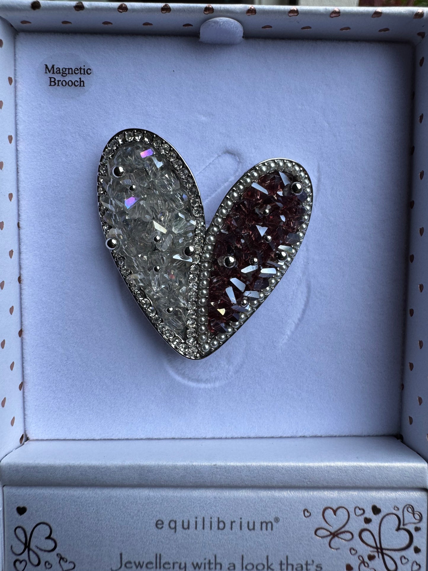 Magnetic Brooch Equilibrium